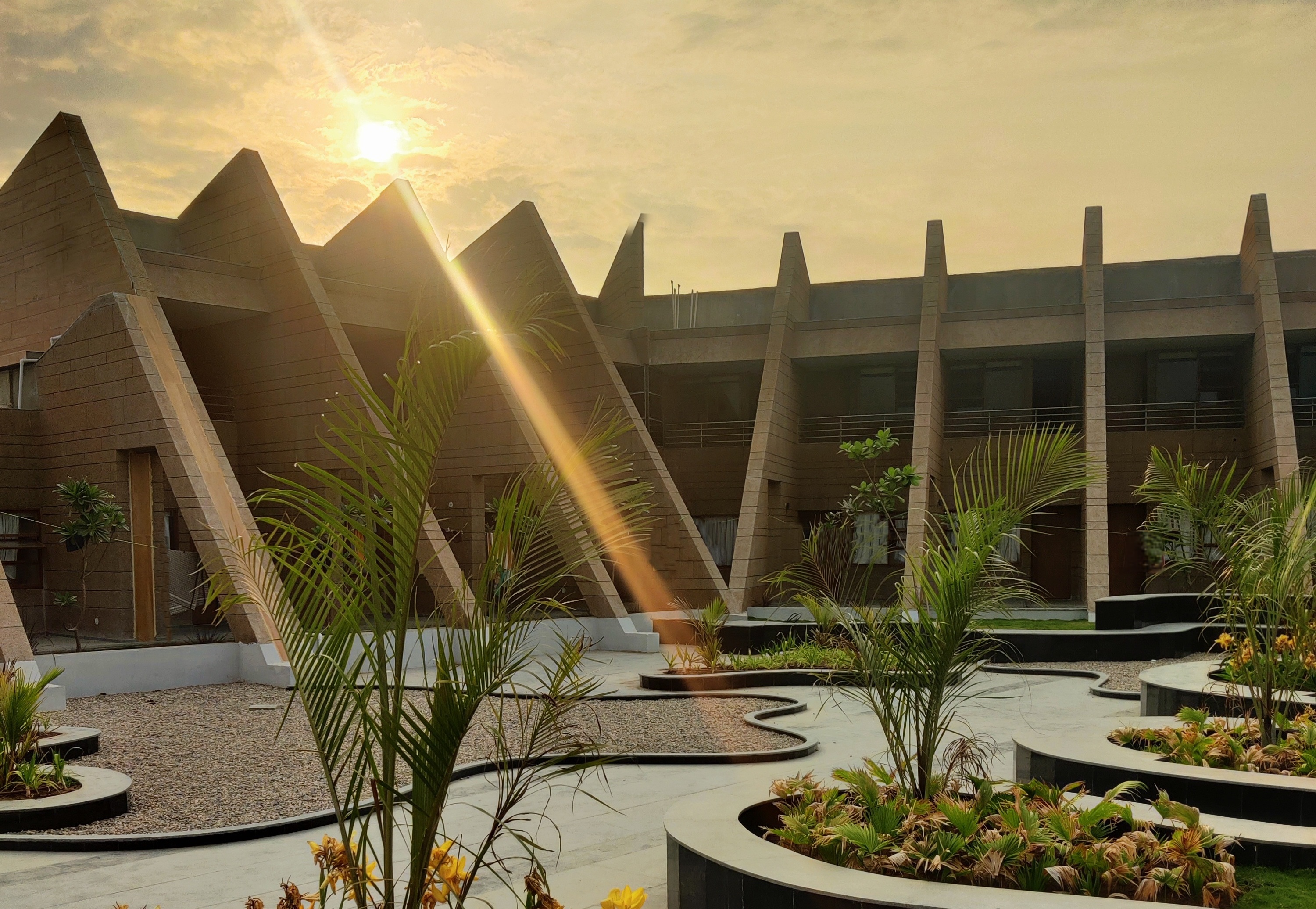 Landscaped courtyard with golden-hour bloom